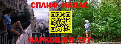 прущие крисы Гатчина