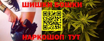прущие крисы Гатчина