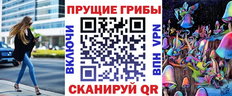 Псилоцибиновые грибы Psilocybine cubensis Луга