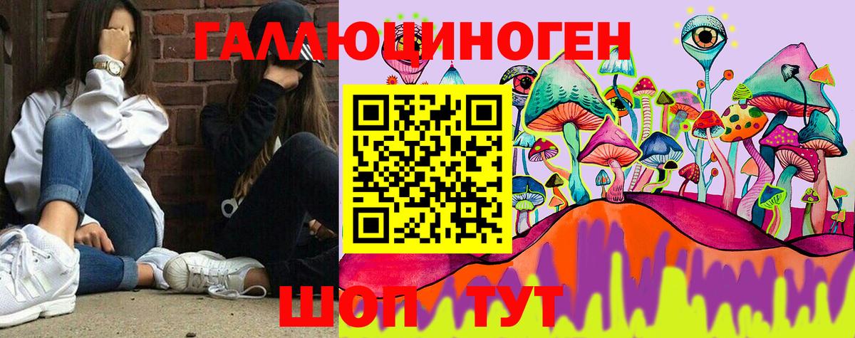 Галлюциногенные грибы Psilocybine cubensis Луга