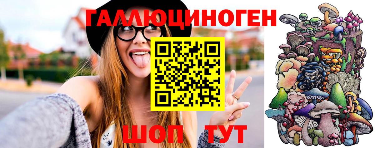 Псилоцибиновые грибы GOLDEN TEACHER  Галлюциногенные грибы Psilocybe  Вход с VPN  Луга 